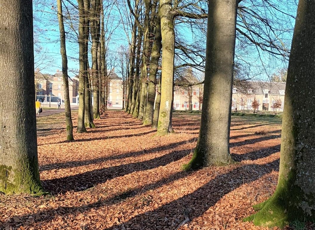 Photo 45 of Rostocklaan 24