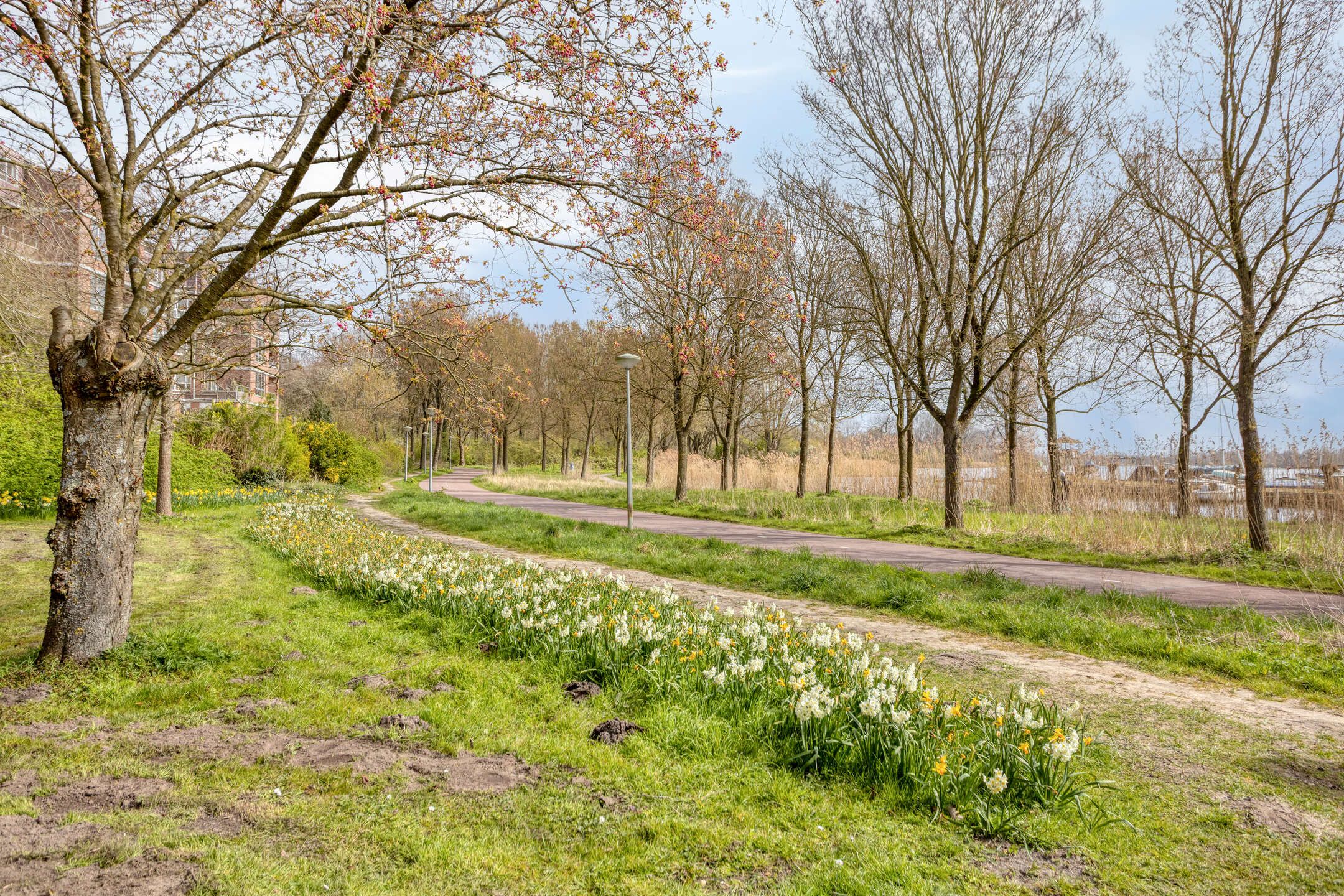 Foto 33 van Leerdamhof 429