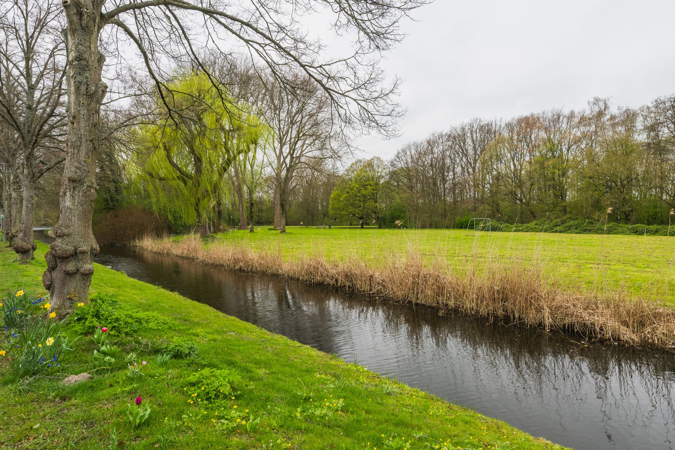 Foto 42 van Adrianalaan 261