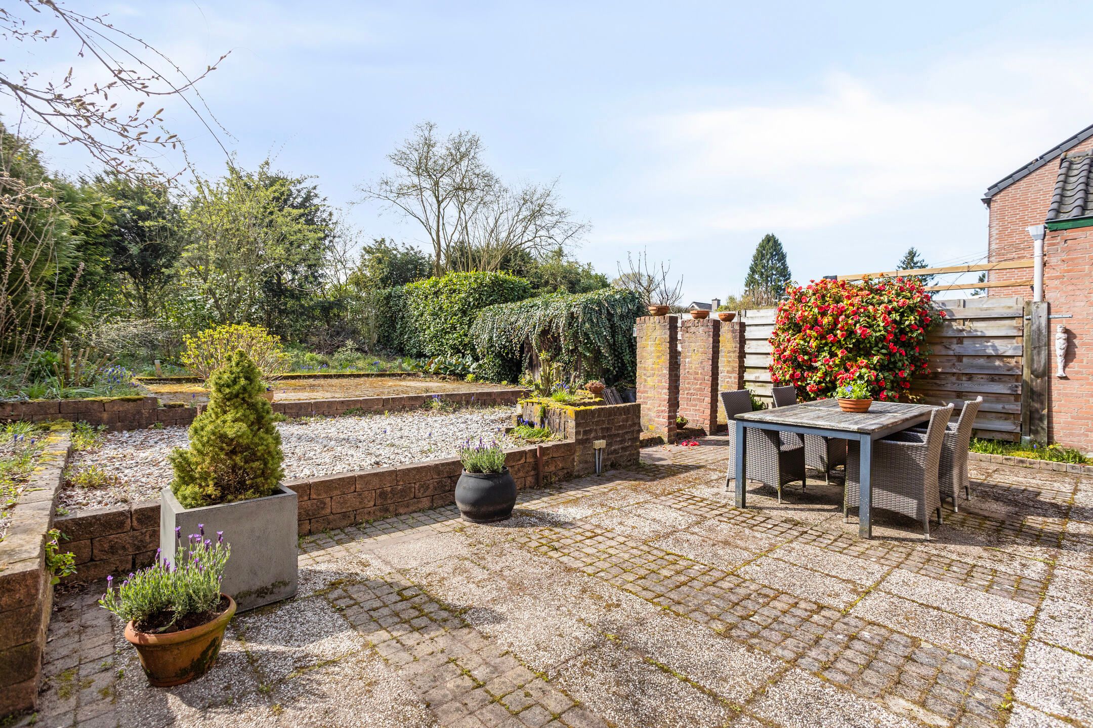 Foto 3 van Laagland 9