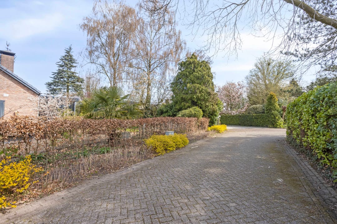 Foto 31 van Laagland 9