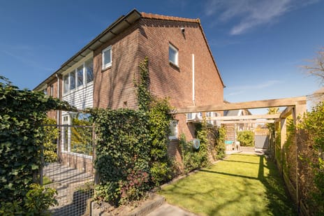 Dahliastraat thumbnail