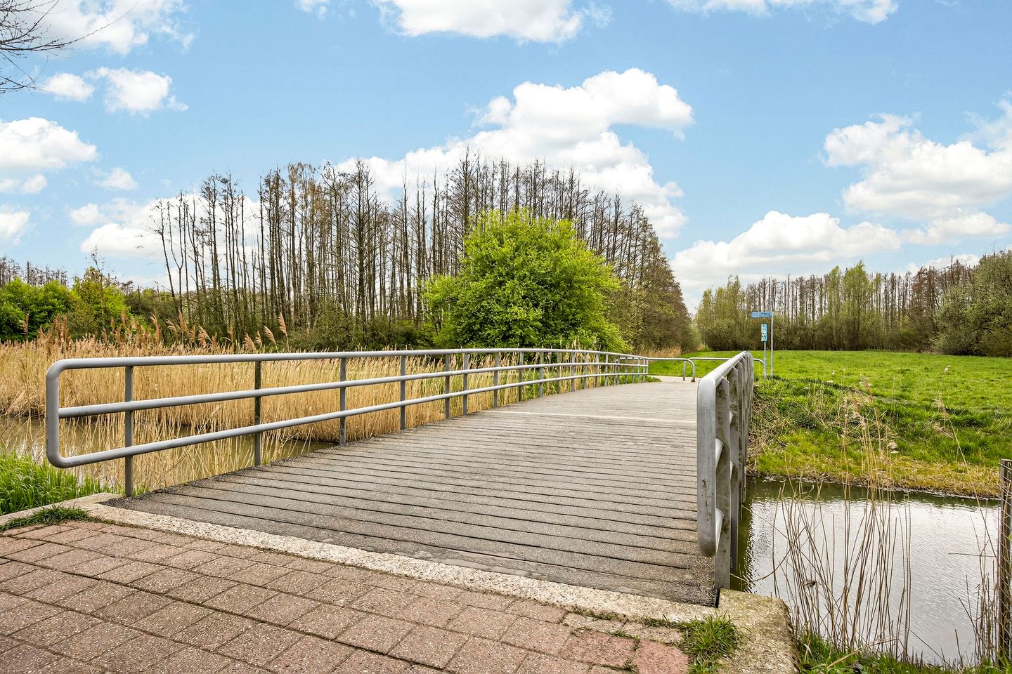 Foto 40 van Albert van Dalsumlaan 97