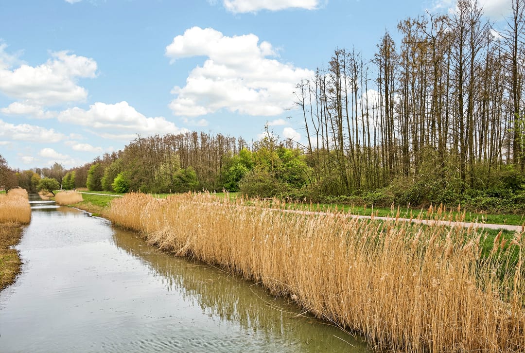 Foto 41 van Albert van Dalsumlaan 97