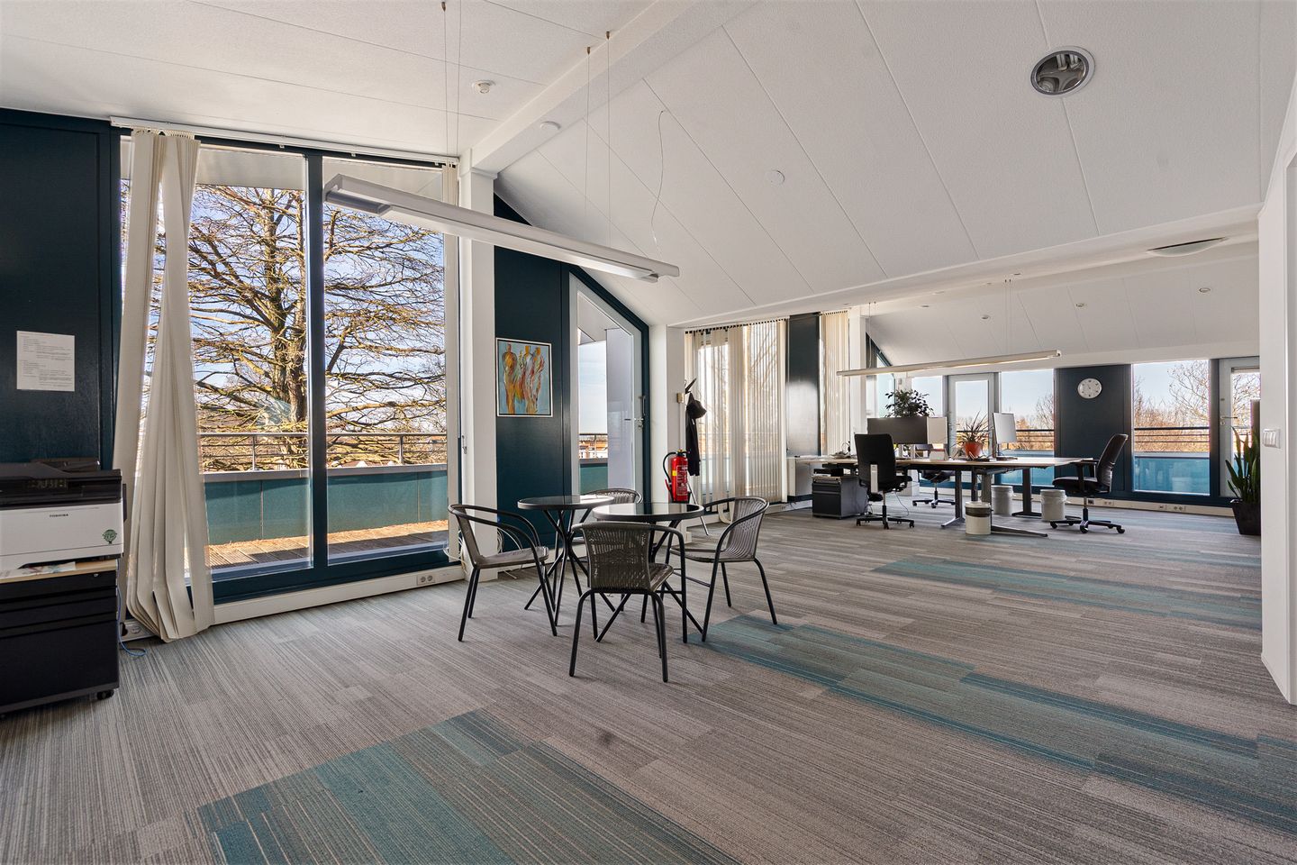 Bekijk foto 2 van Kalf 186