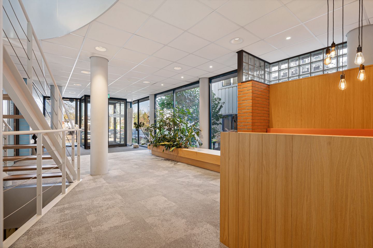 Bekijk foto 4 van Kalf 186