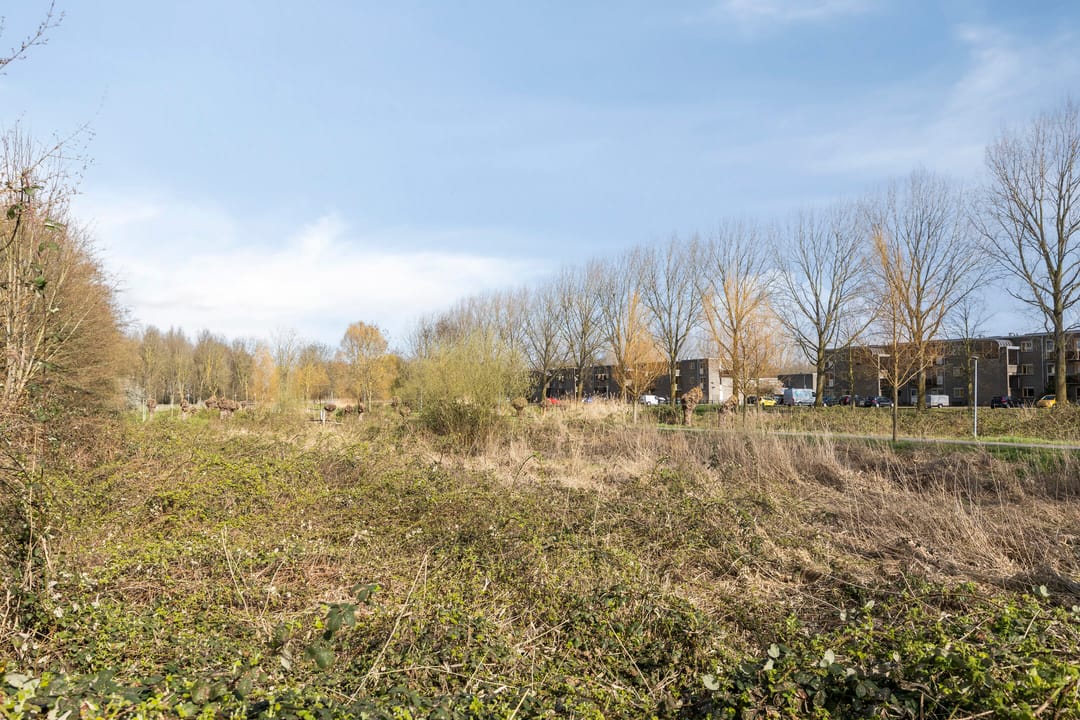 Photo 38 of Staakmolenstraat 119