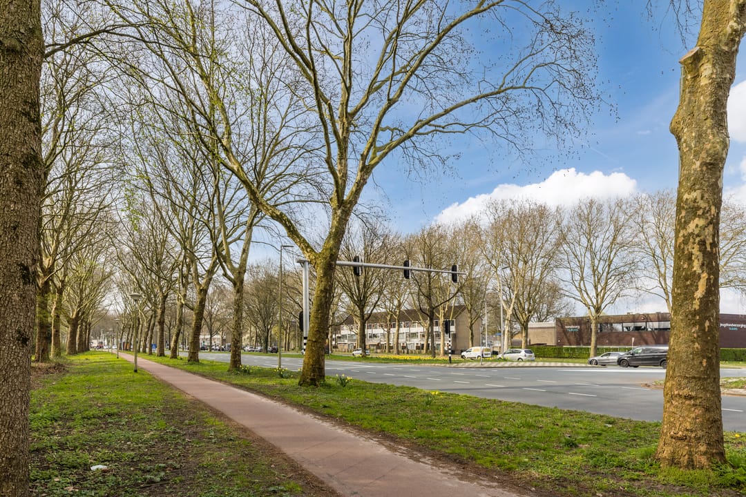 Foto 31 van Mozartlaan 665