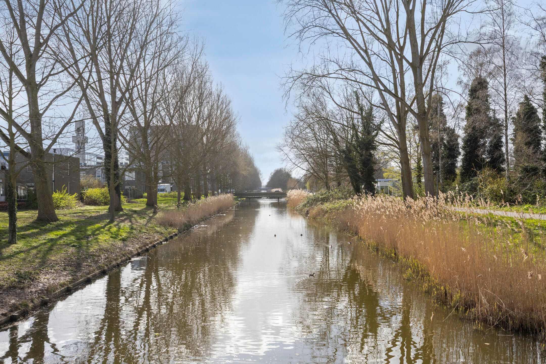 Photo 39 of Staakmolenstraat 119