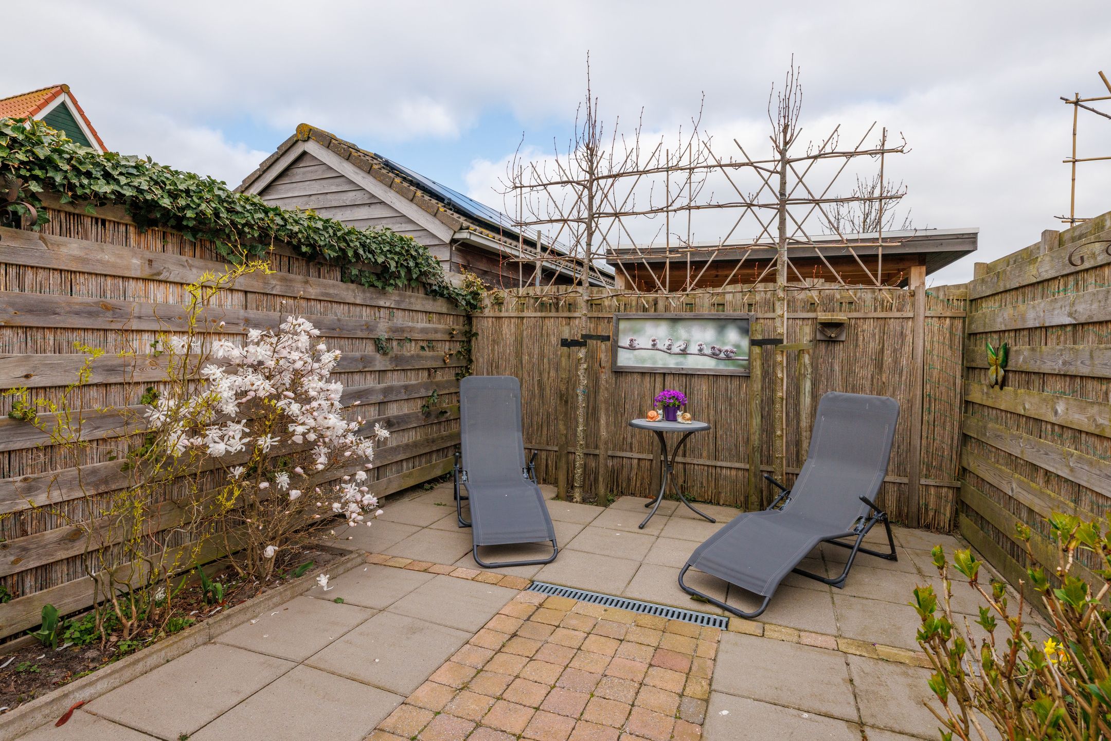 Foto 51 van Oliviershiem 8