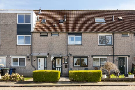 Staakmolenstraat thumbnail