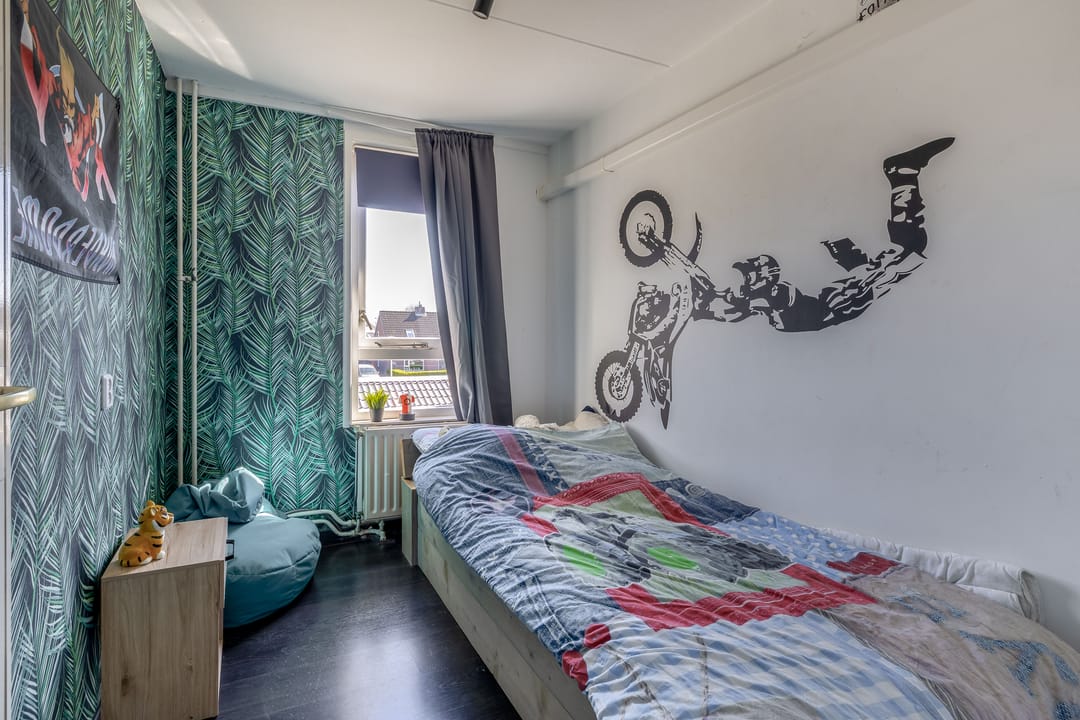 Photo 22 of Castor 65