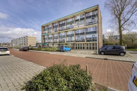 undefined main image