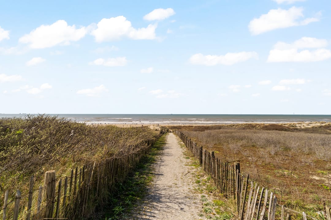 Foto 2 van Duindistel 73