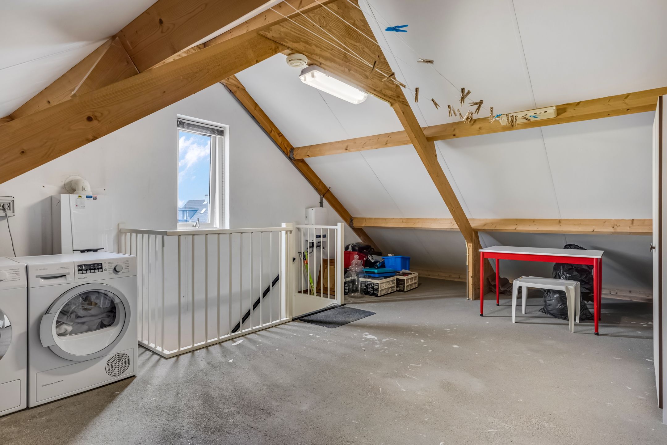 Foto 36 van Bieslook 63