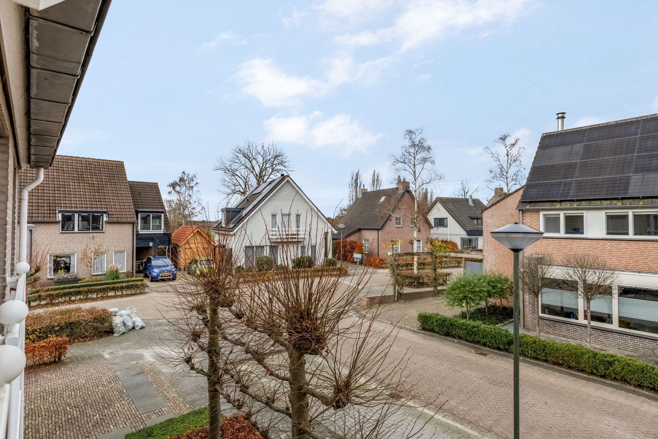 Foto 48 van Bieslook 63