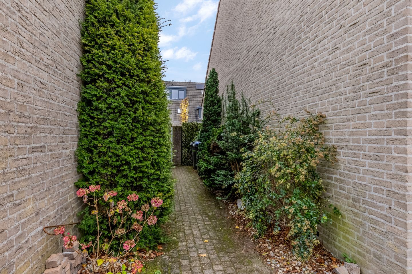 Foto 44 van Bieslook 63