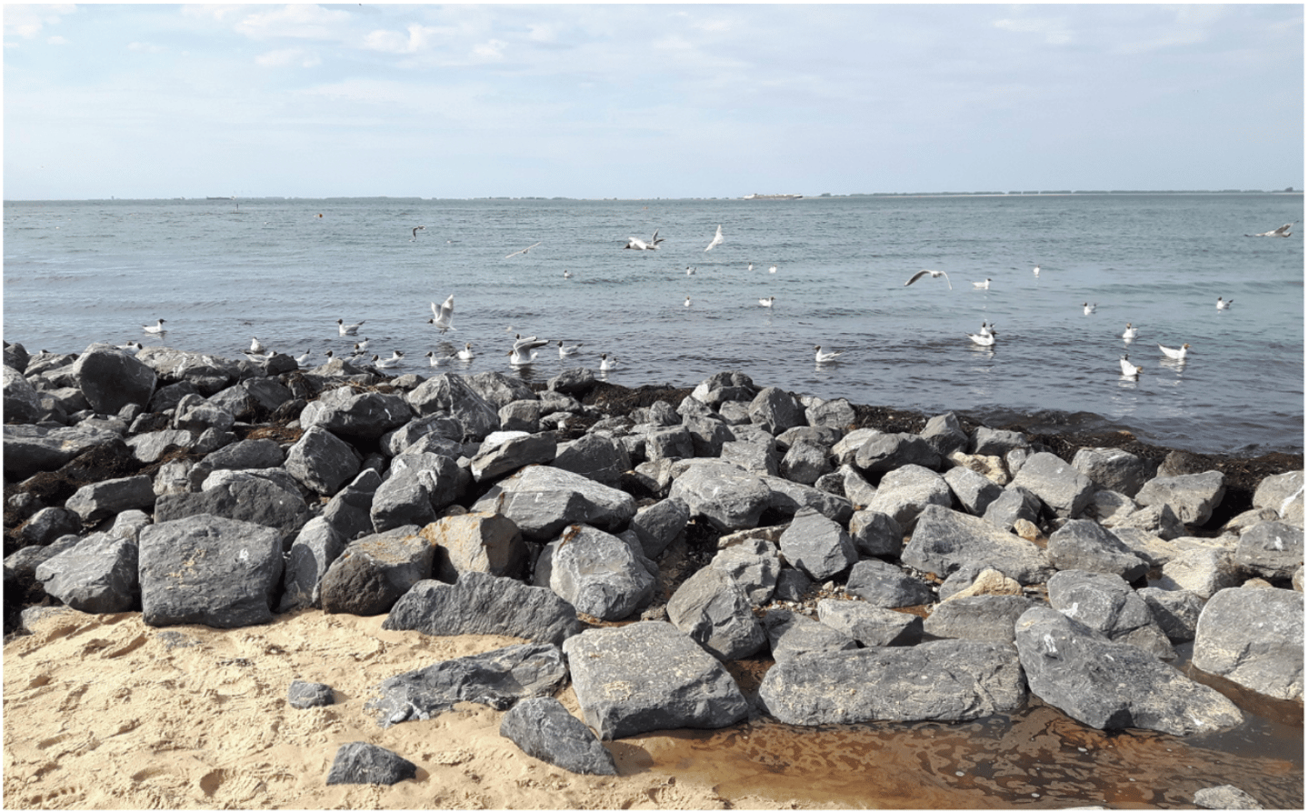 Photo 5 of Binnendijk 2-044