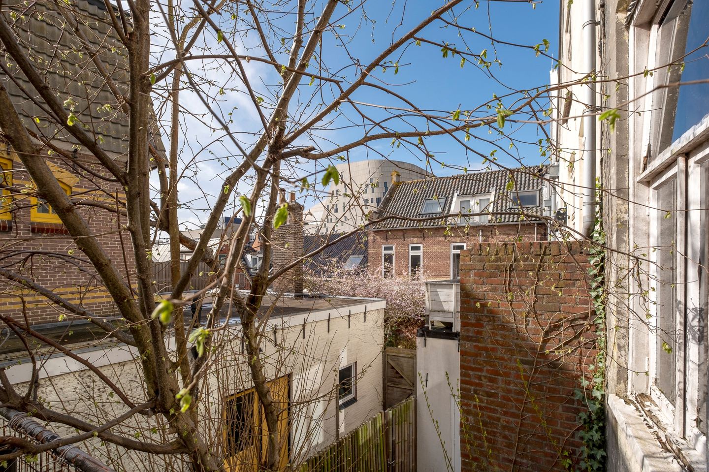 Renovation Project in Historic Townhouse Near Groningen Centre — 49