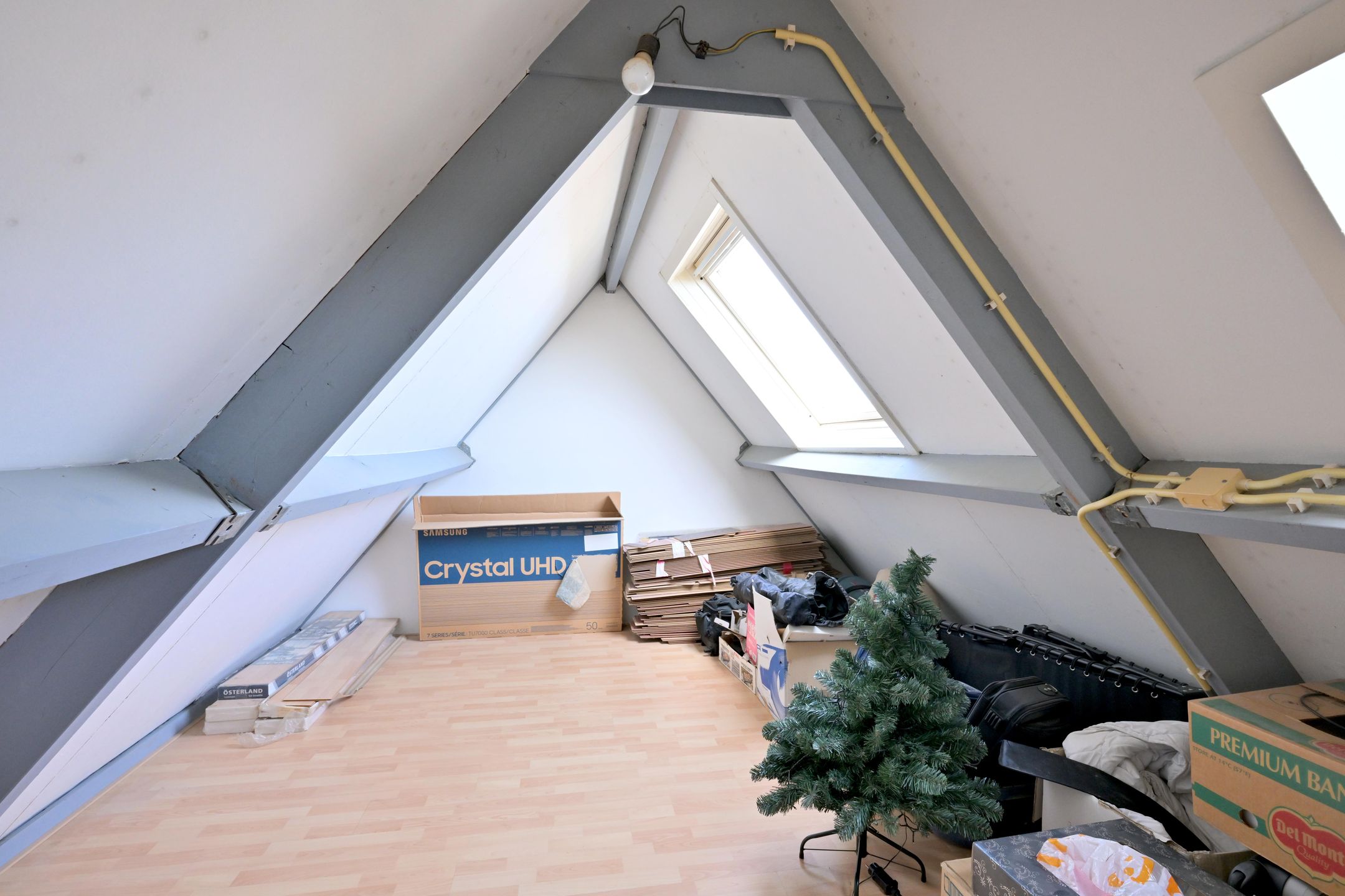 Photo 24 of Sleutelbloem 2