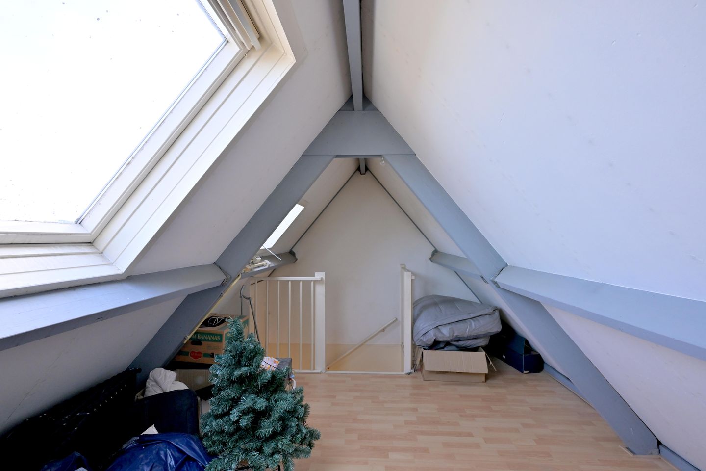 Photo 25 of Sleutelbloem 2