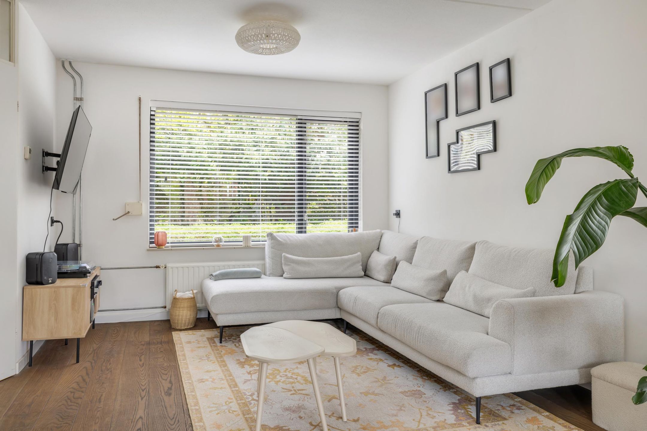 Photo 12 of Kantenbeemd 16