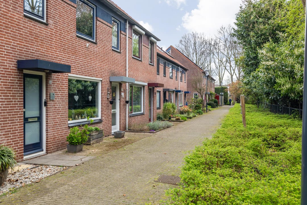 Photo 7 of Kantenbeemd 16