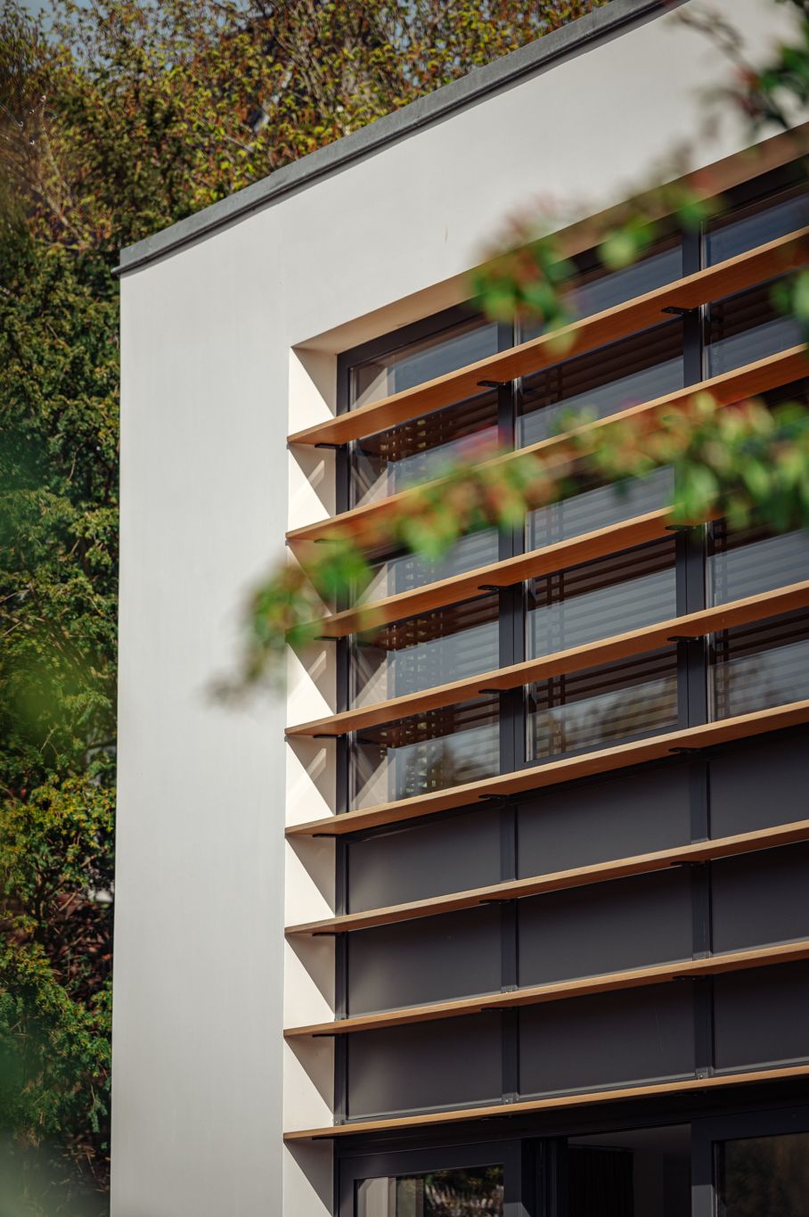 Foto 54 van Spiegelenburghlaan 41