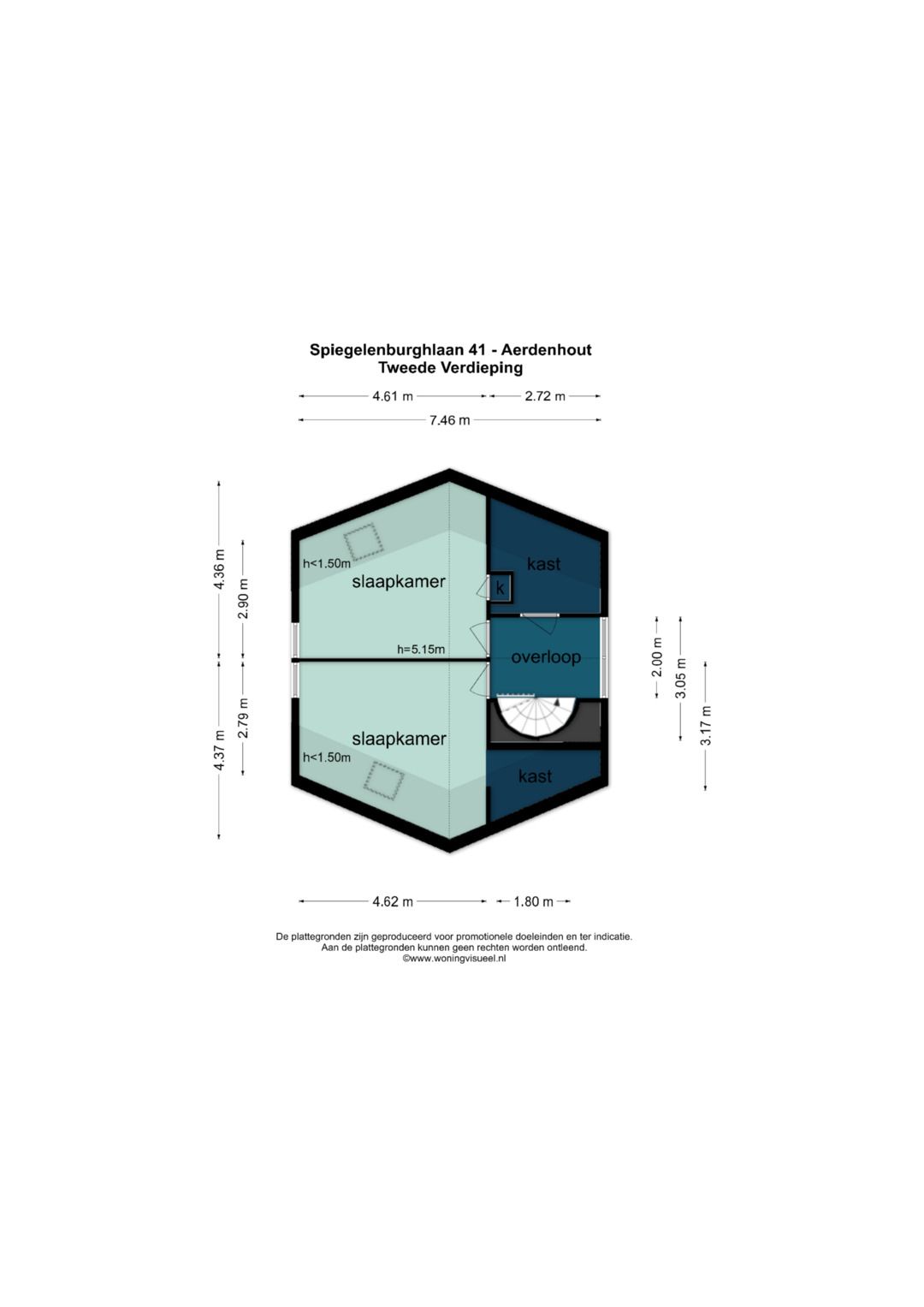 Foto 66 van Spiegelenburghlaan 41