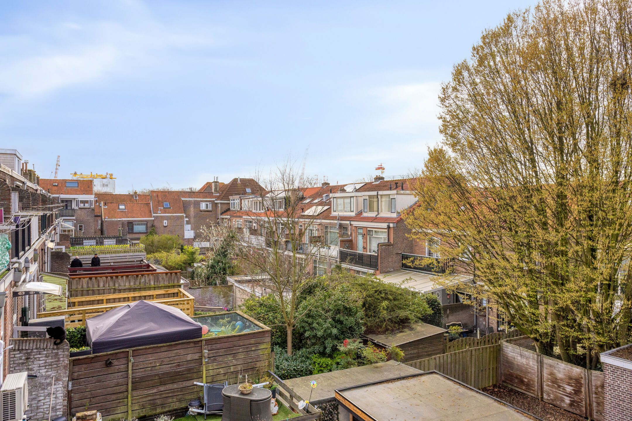 Photo 33 of Westfrankelandsestraat 85