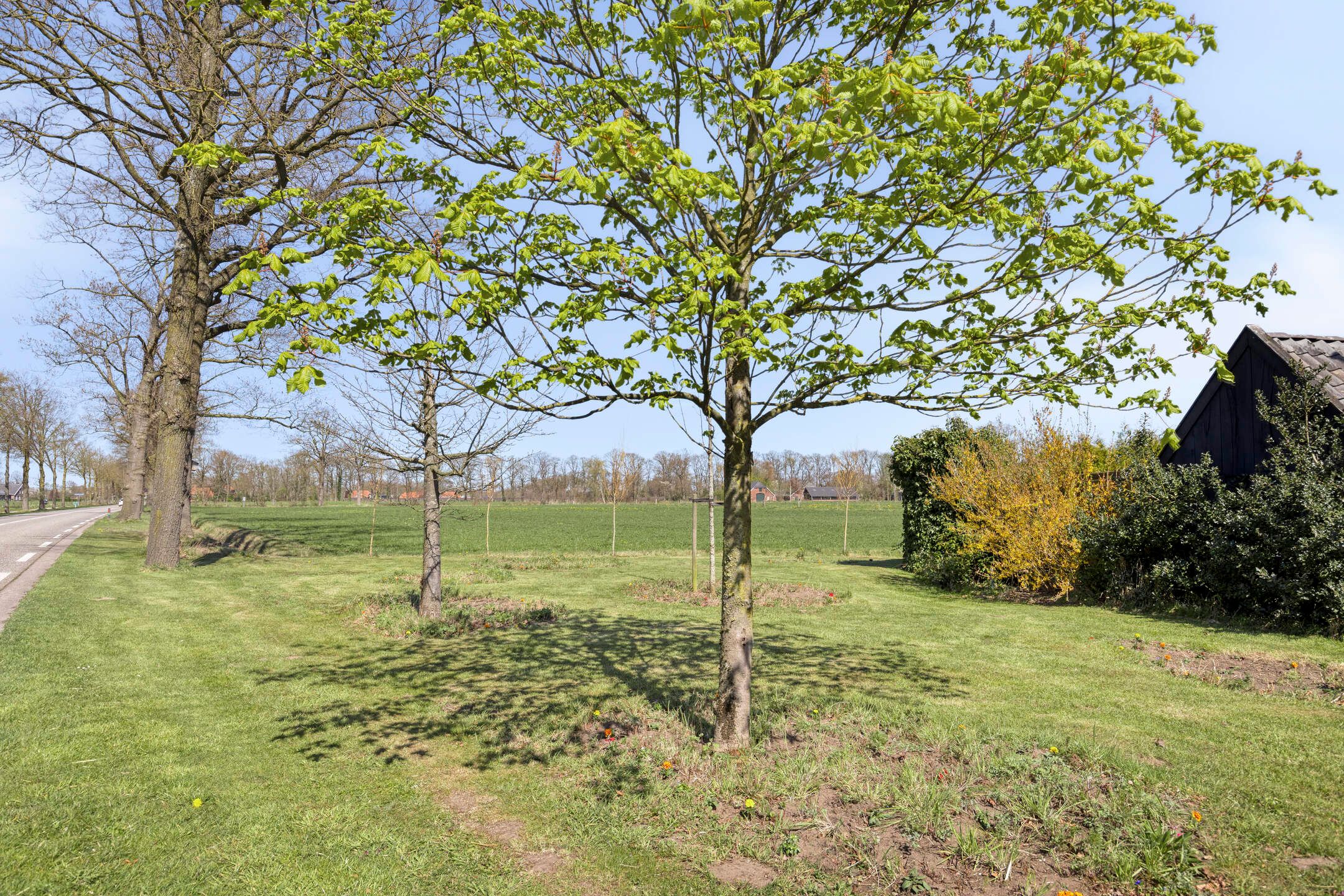 Foto 81 van Varsseveldseweg 4