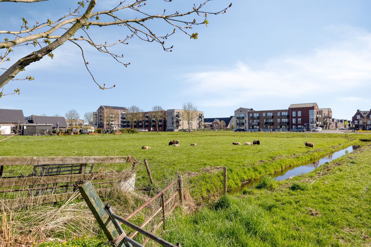 Photo 44 of Rembrandt van Rijnstraat 7