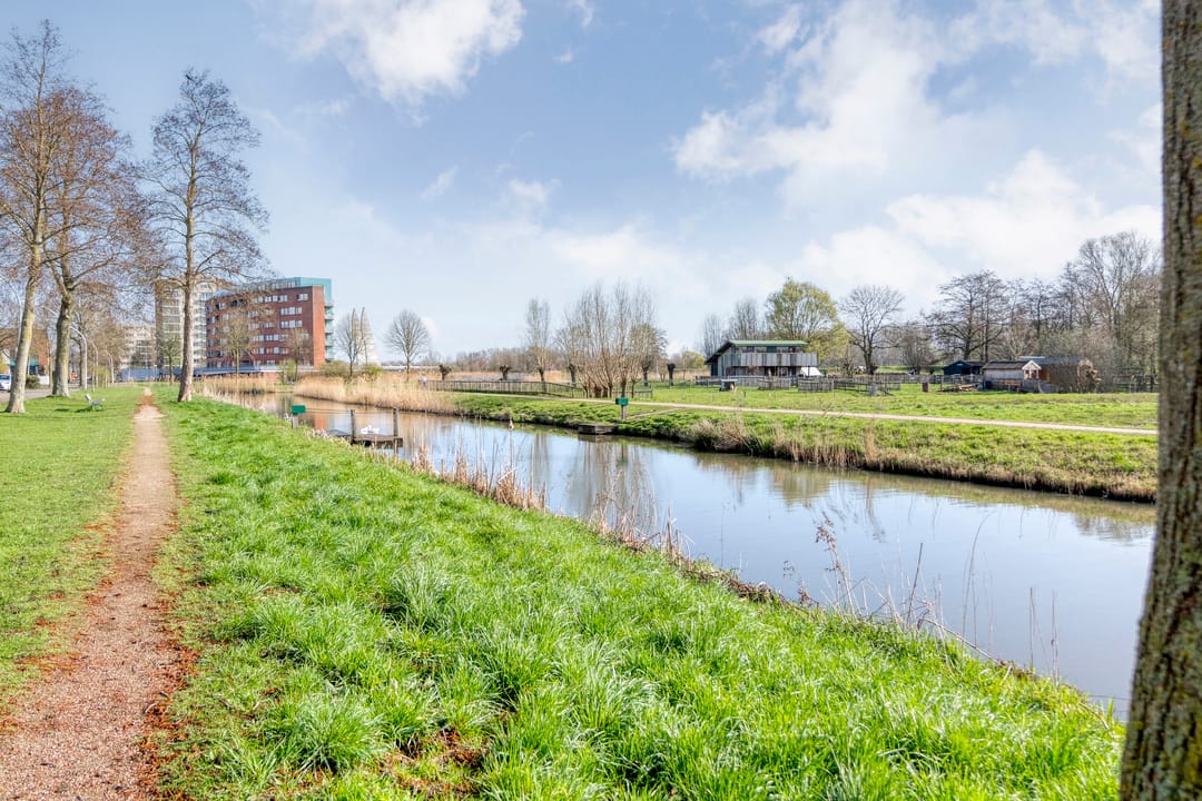 Photo 43 of Tolgaarderstraat 40