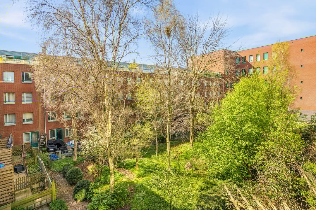 Foto 13 van Panamalaan 216