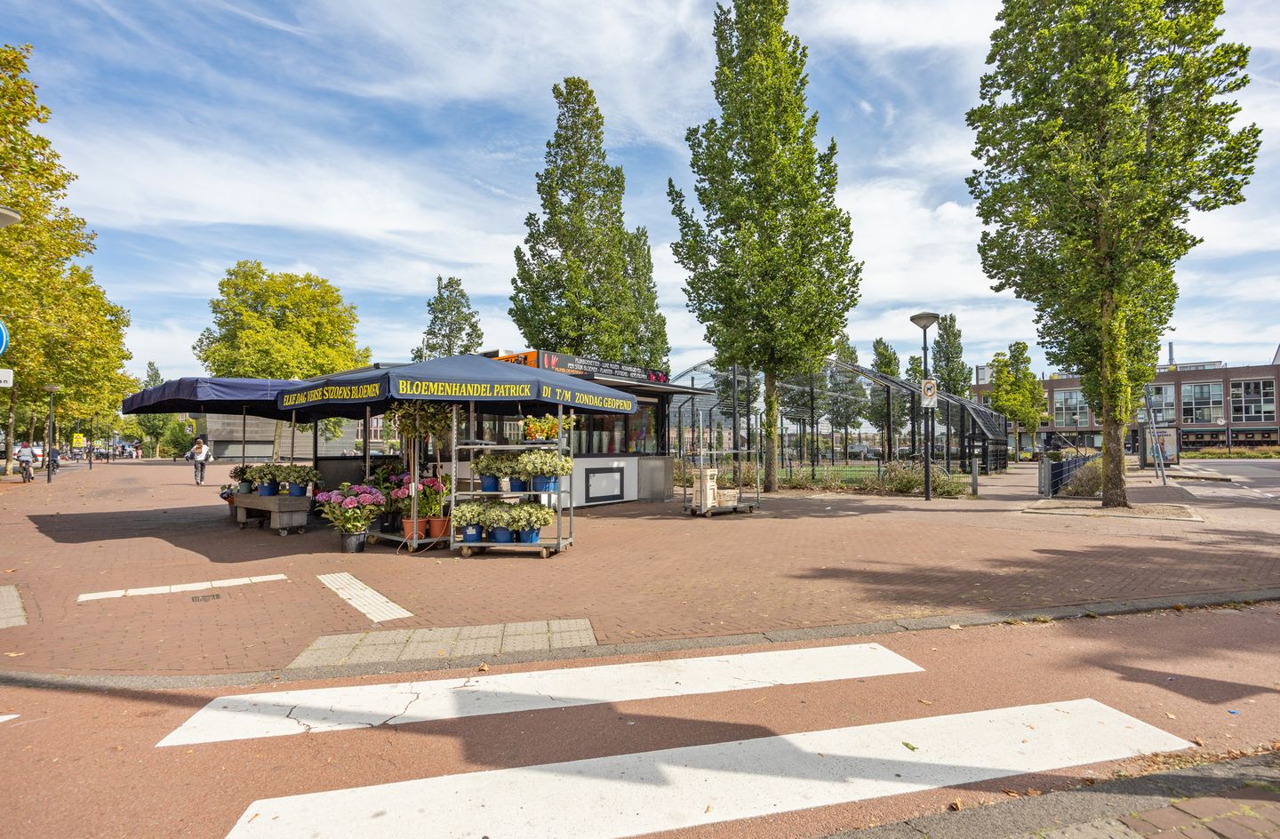 Foto 44 van Panamalaan 216