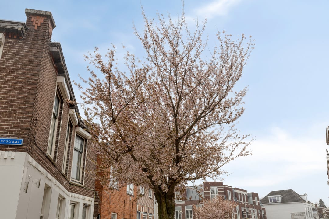 Foto 17 van Van Ittersumstraat 27