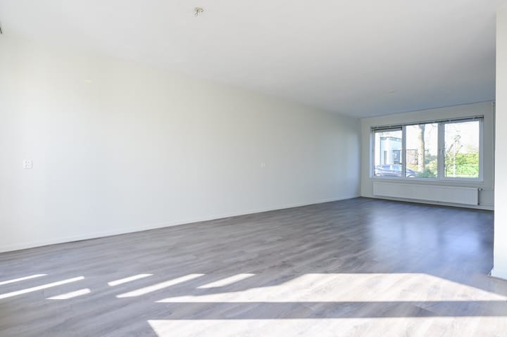 Photo 3 of Atalanta 223