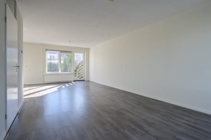 Photo 4 of Atalanta 223