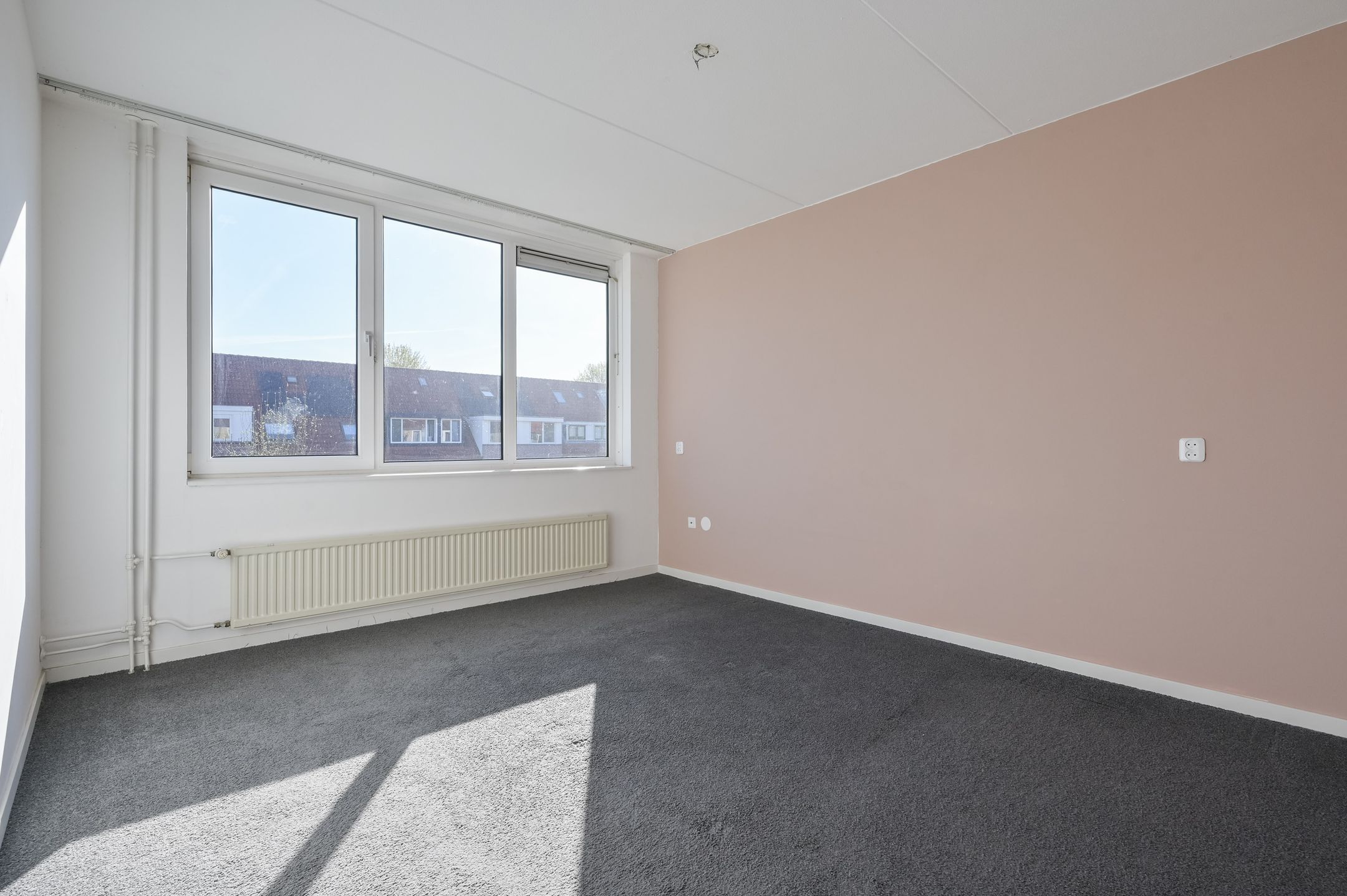 Foto 12 van Atalanta 223