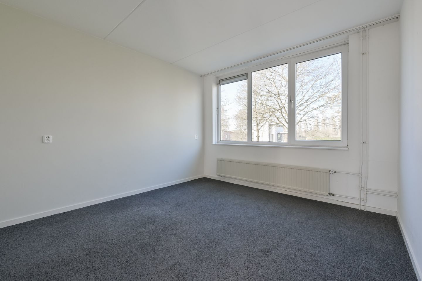 Foto 14 van Atalanta 223