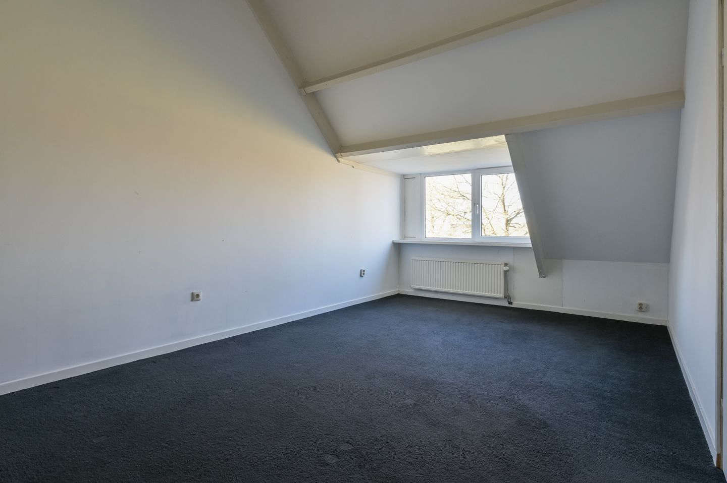 Foto 25 van Atalanta 223