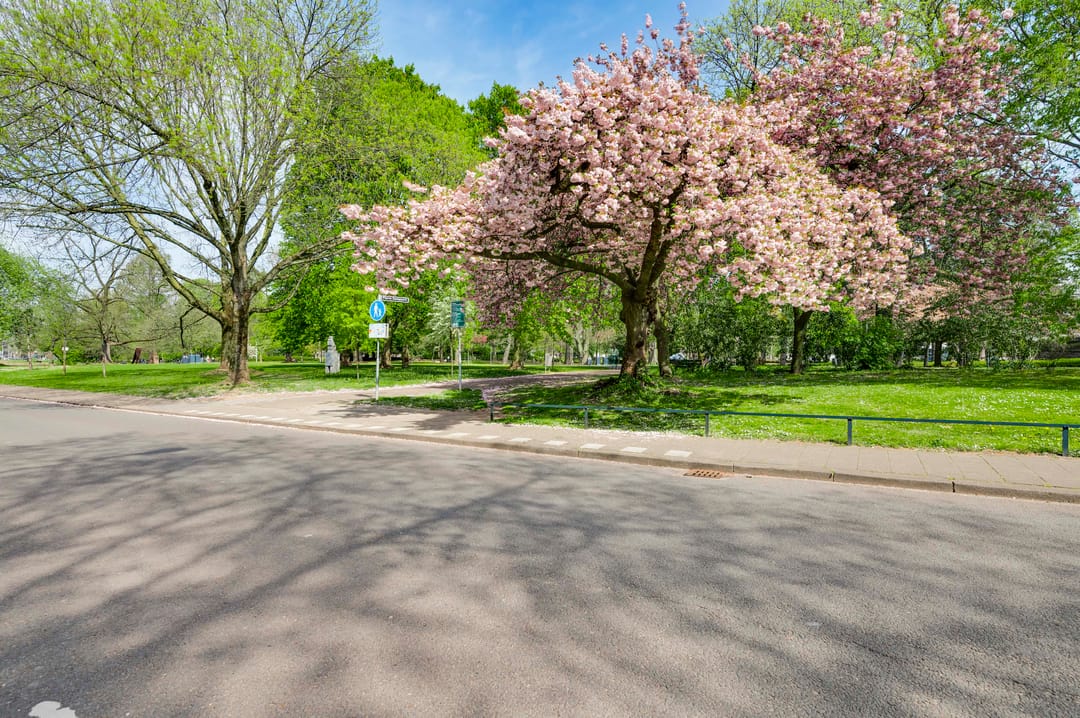 Photo 38 of Prins Bisschopsingel 2-02