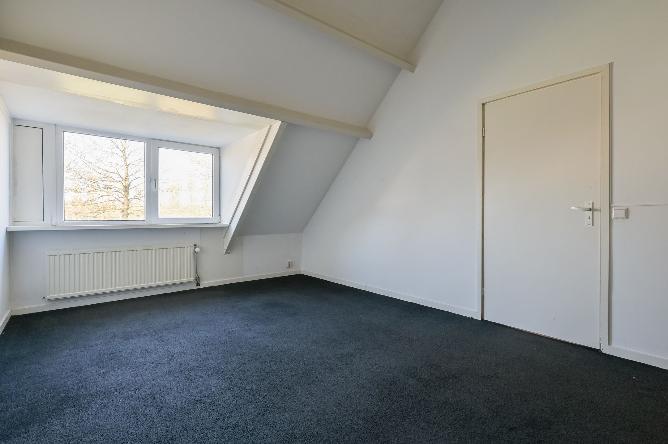 Foto 24 van Atalanta 223