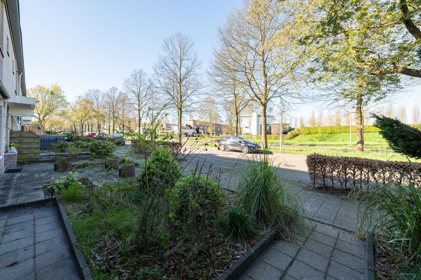 Foto 29 van Atalanta 223