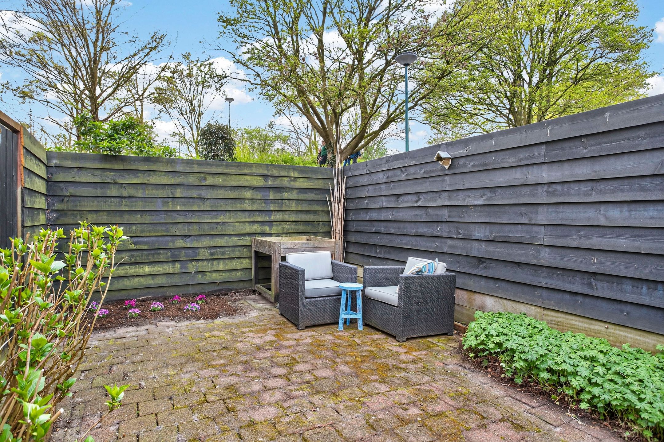 Foto 42 van Antilopespoor 433