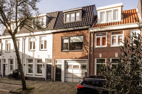 Oranjeboomstraat thumbnail