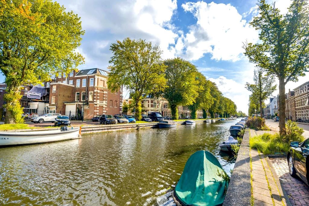 Photo 34 of Oranjeboomstraat 148-A