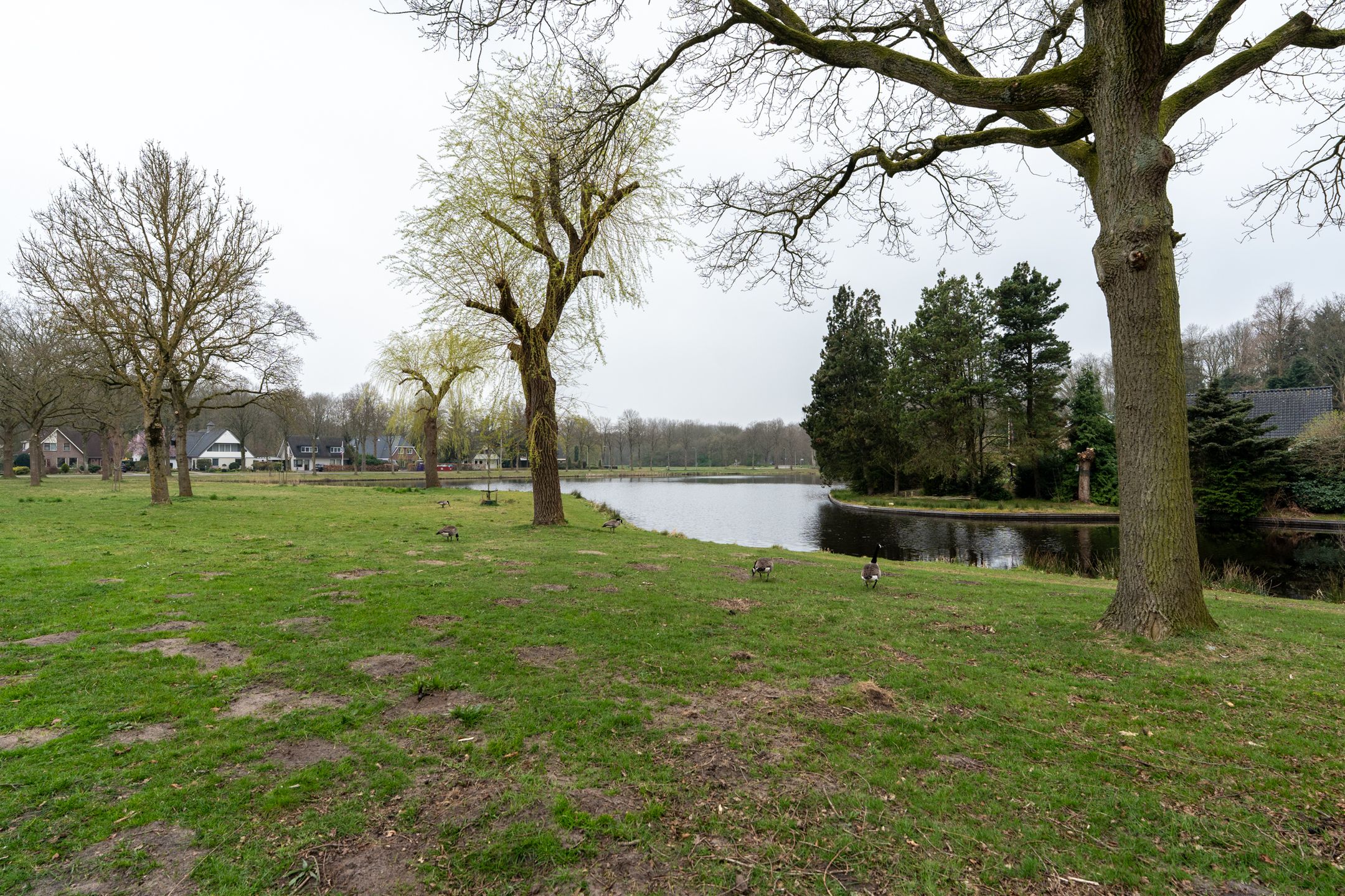 Foto 39 van Fregatstraat 106