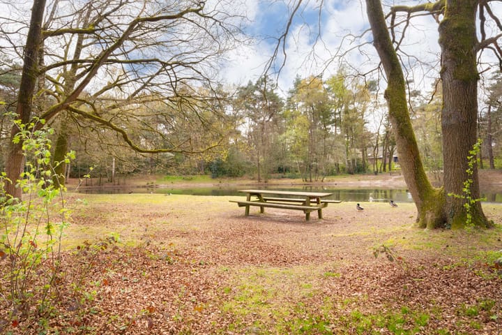 Foto 3 van Prins Hendriklaan 46