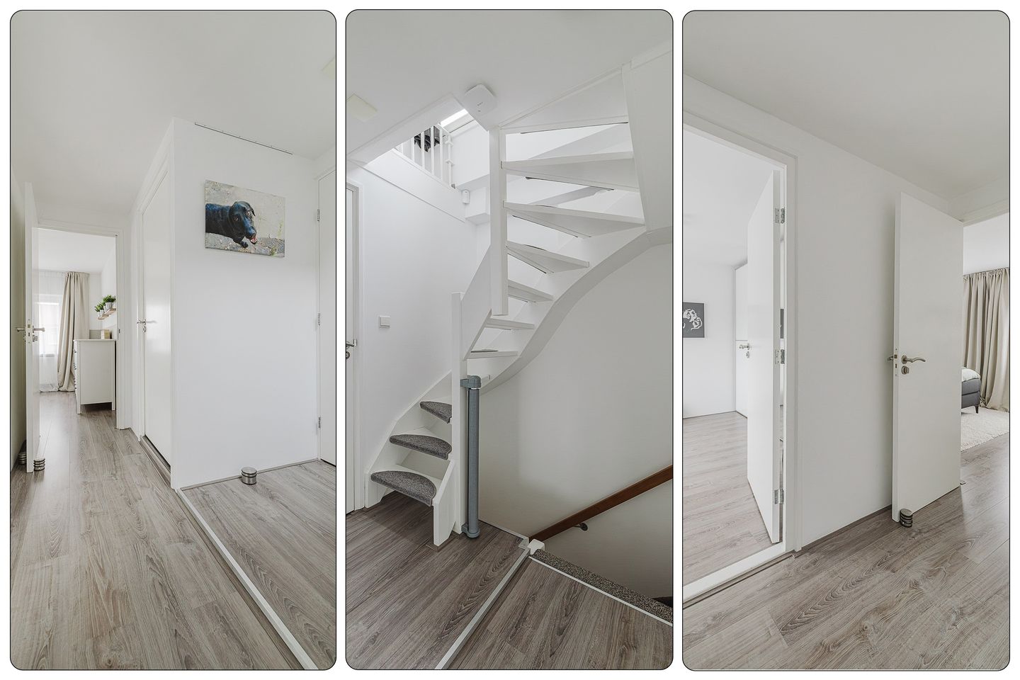 Foto 19 van Willem Passtoorsstraat 50